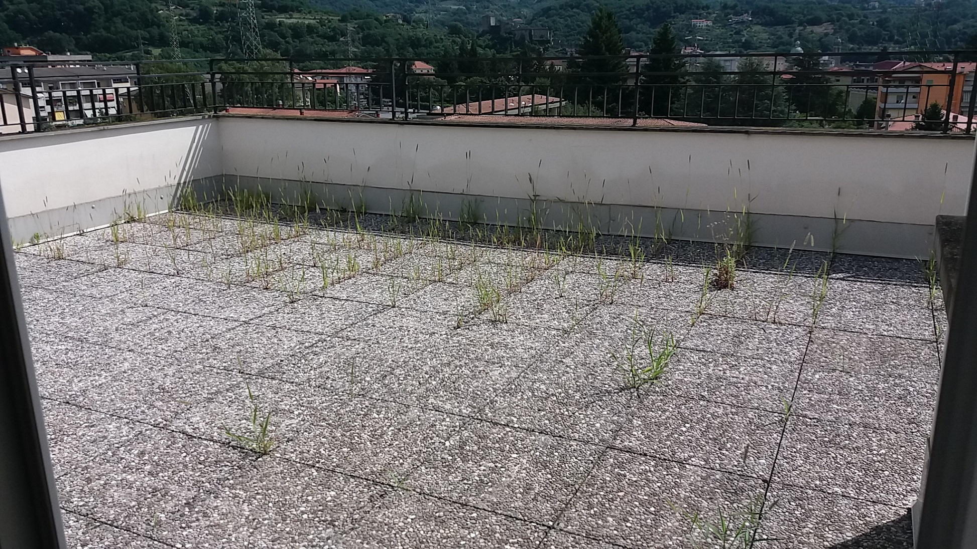 attico nuova costruzione